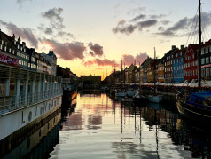 Zu Besuch bei Orgreen