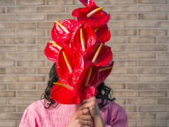 Das Brillenglas, das dem Gehirn hilft, mehr von der Welt zu sehen.