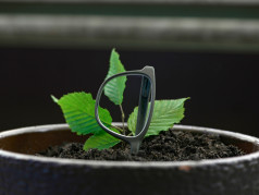 Unsere nachhaltigsten Brillenbrands 